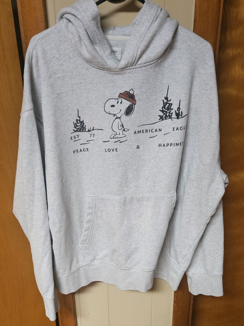 American Eagle Outfitters Gray Snoopy Graphic Pullover Hoodie
